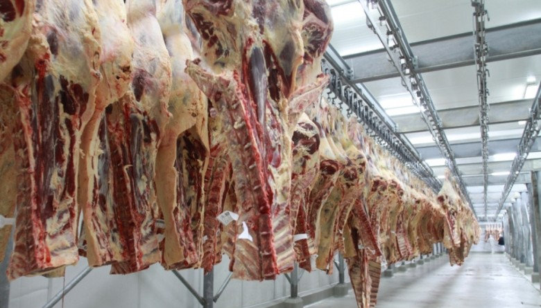 Para Tener Estabilidad En Precios, México Continúa Importaciones De Pollo Y Res.