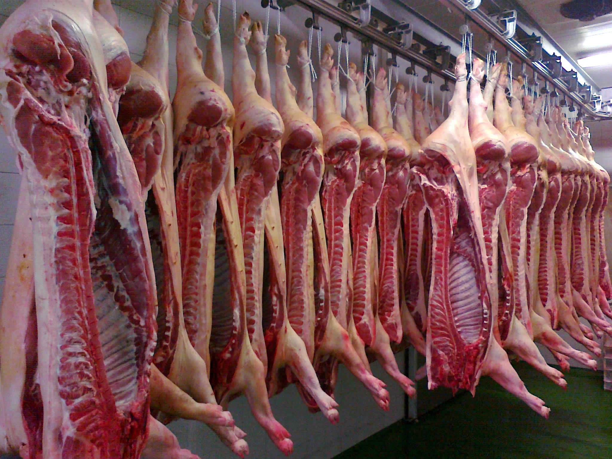 Carne de cerdo, oportunidades de crecimiento en México
