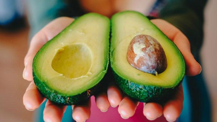 Aguacate mexicano genera cadenas de valor importantes para el país: Luis Doporto Alejandre