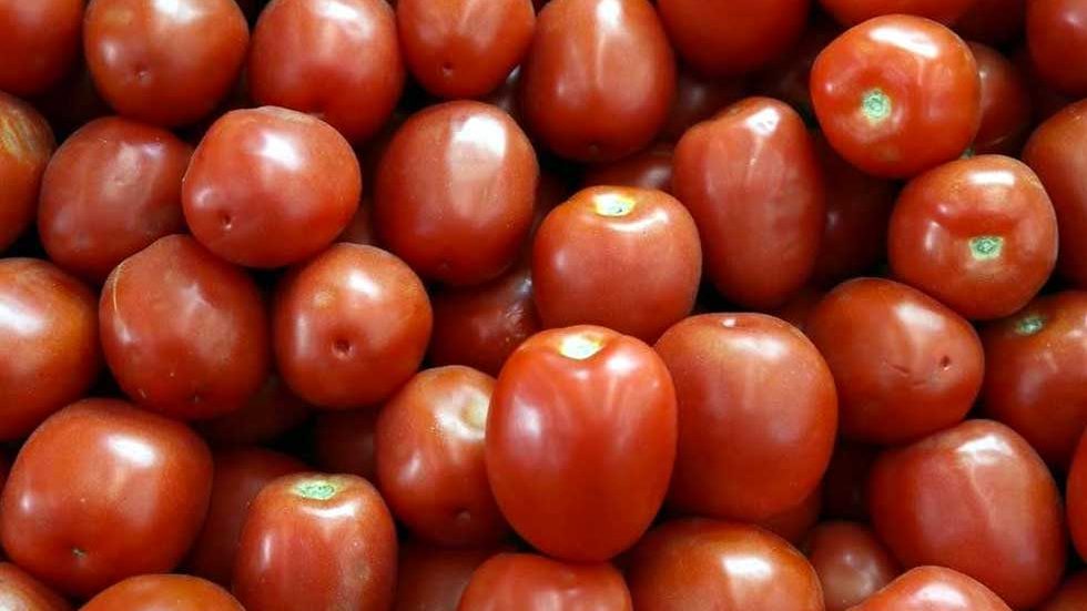 Cuidarán flujo fronterizo