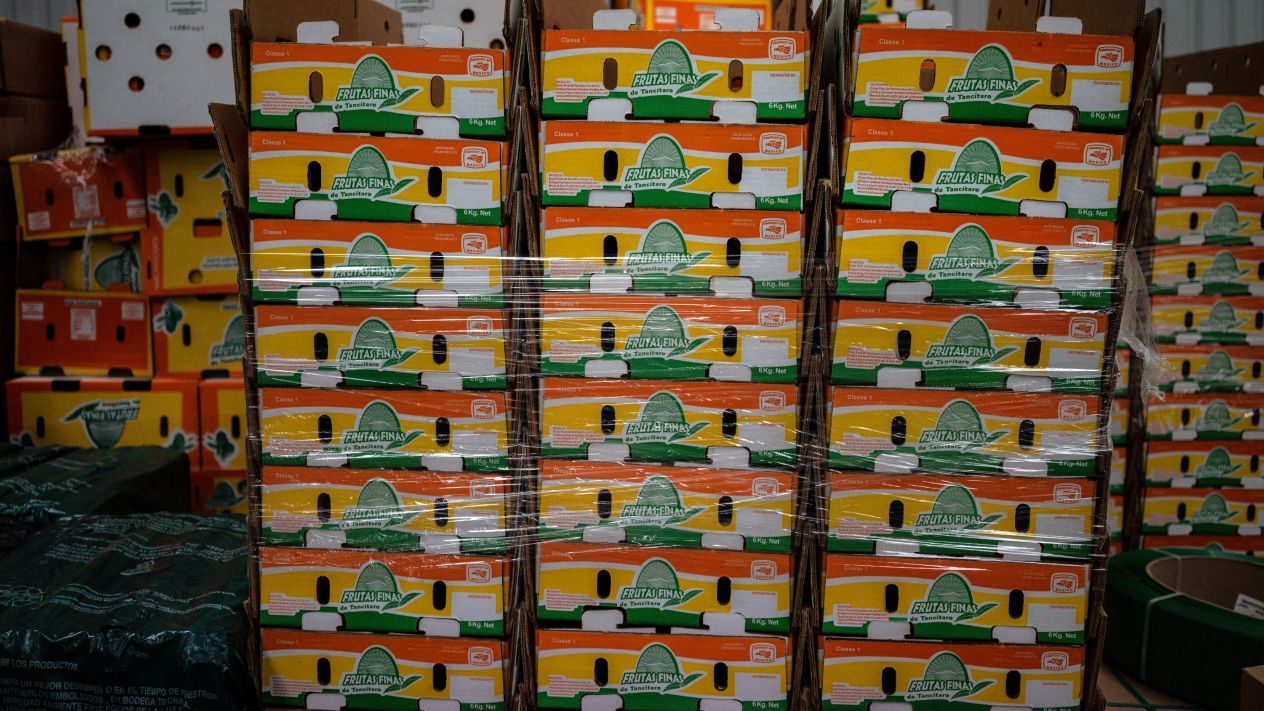 T-MEC no borrará incertidumbre de empresas de México y EU: CEO de KCS