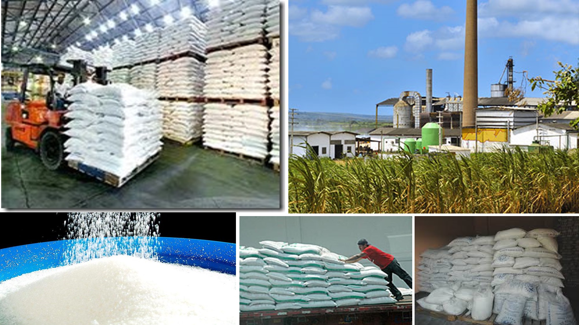 Cupo máximo de exportación de azúcar a EU