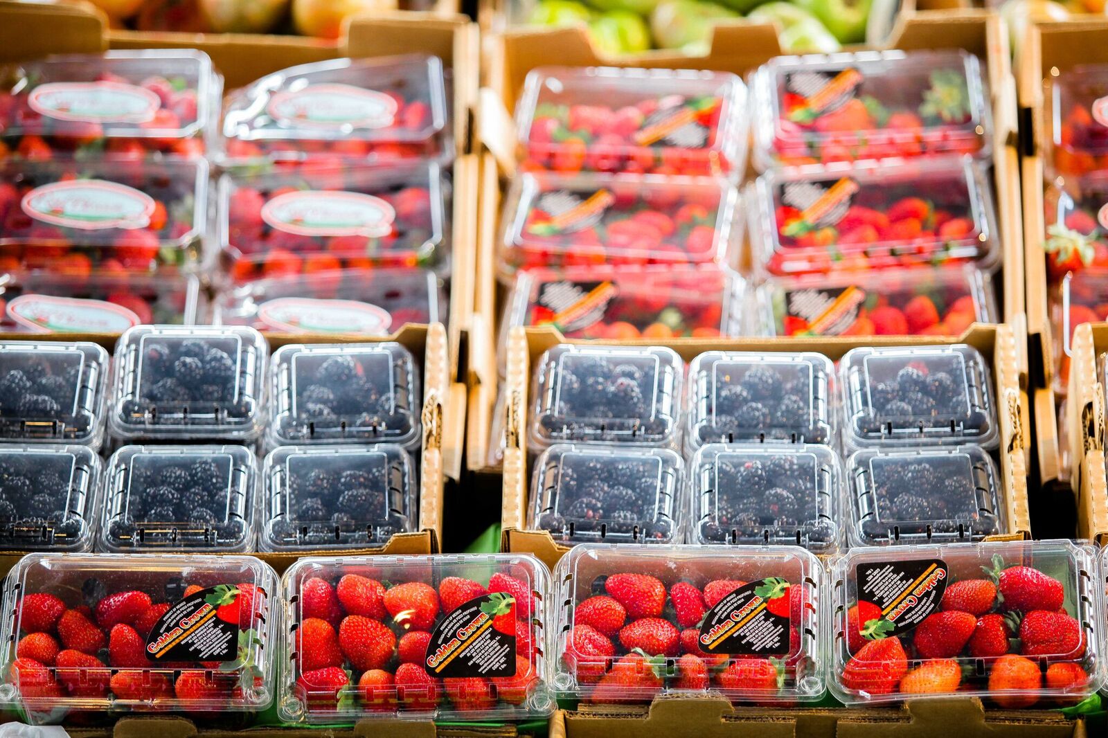 Exportaciones agroalimentarias crecen 8.6% en 2019