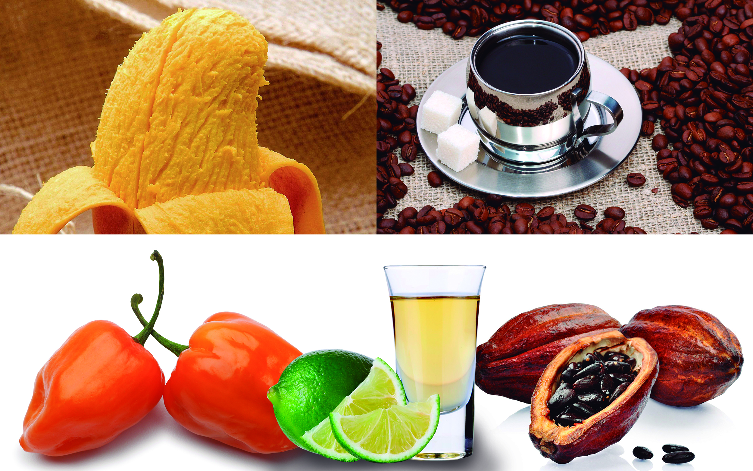 Exportadores asumen compromiso en materia de sanidad e inocuidad