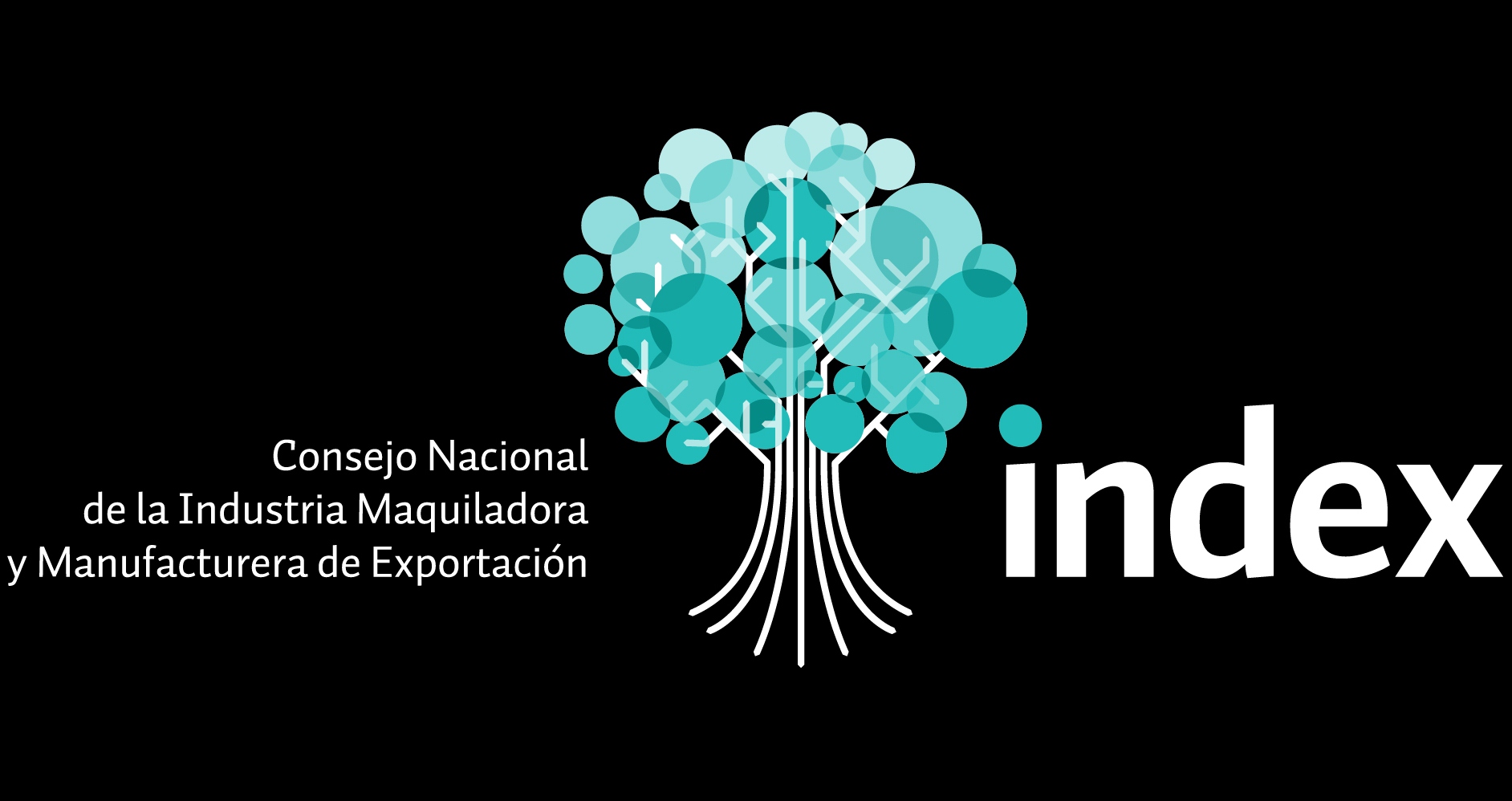 Industria Manufacturera de Exportación logró crecer un 14%