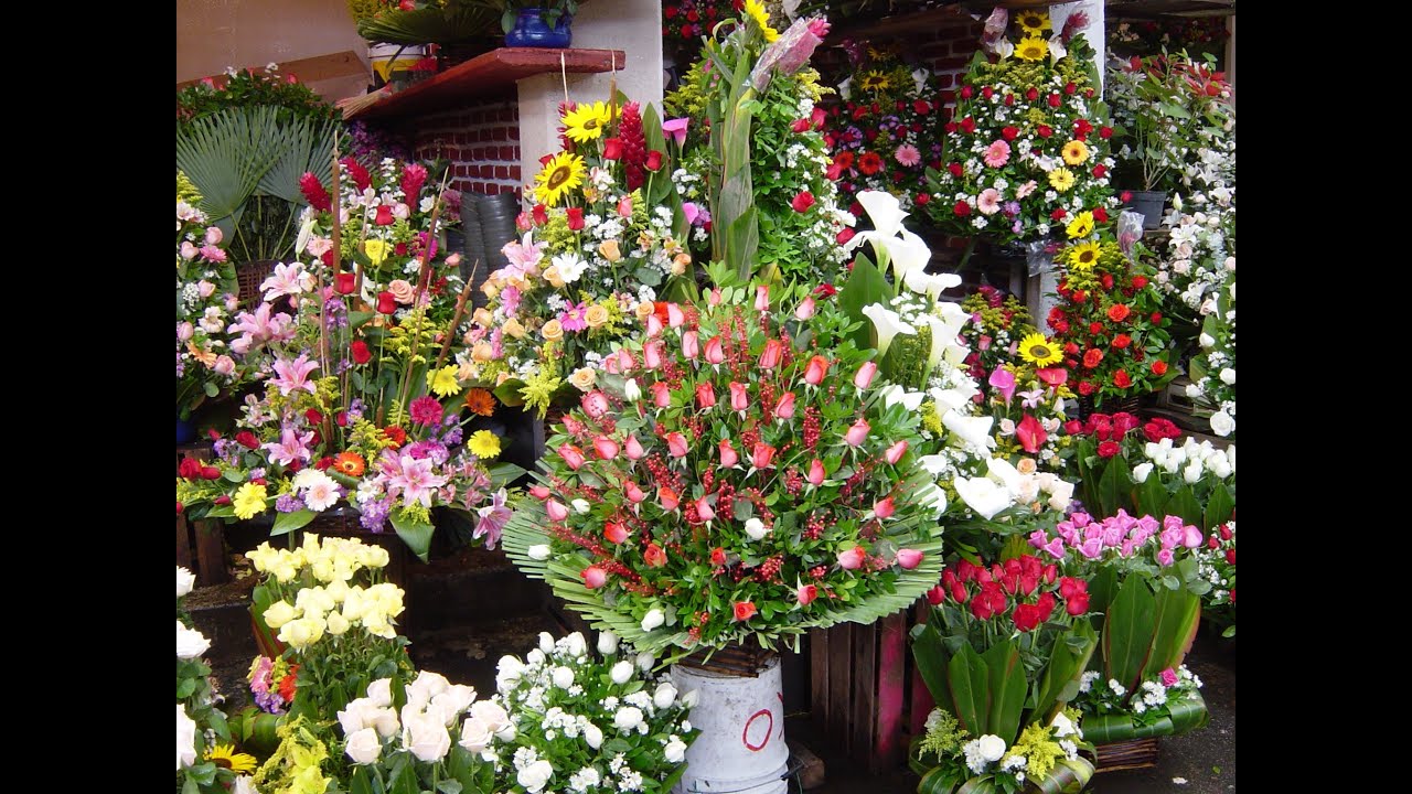 EU prohíbe ingreso de flores y frutas mexicanas para altares de muertos