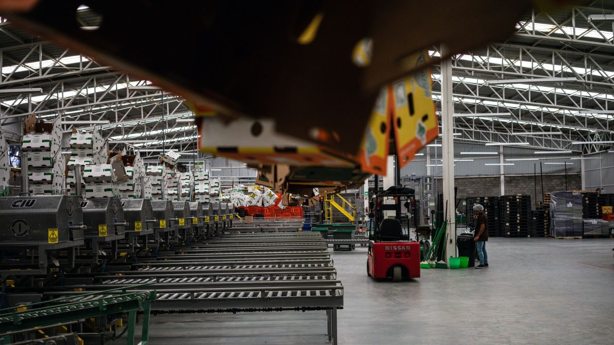 Exportaciones mexicanas caen por segundo mes consecutivo