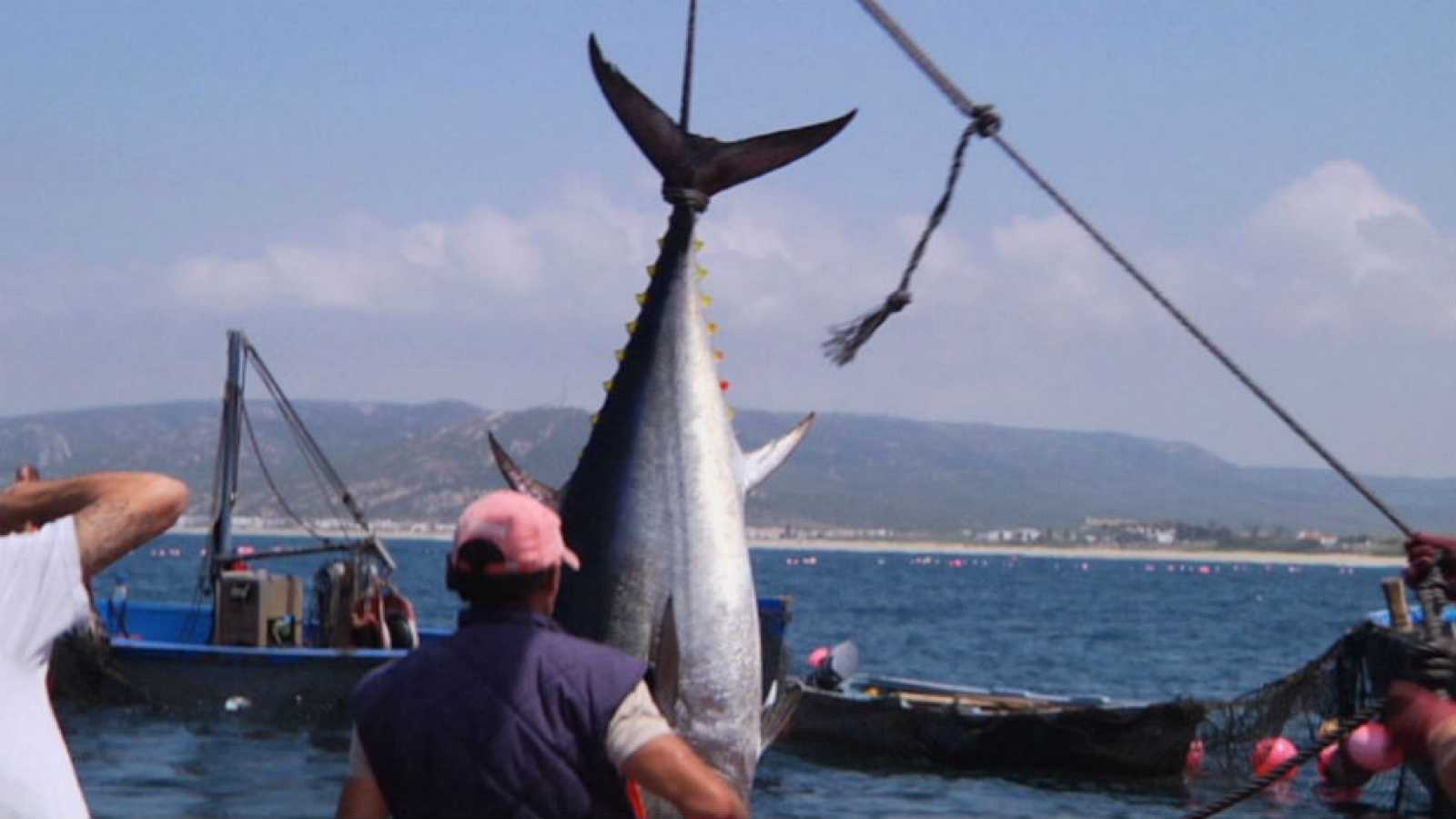 Grupomar reconoce a pescadores por primer lugar en pesca de atún