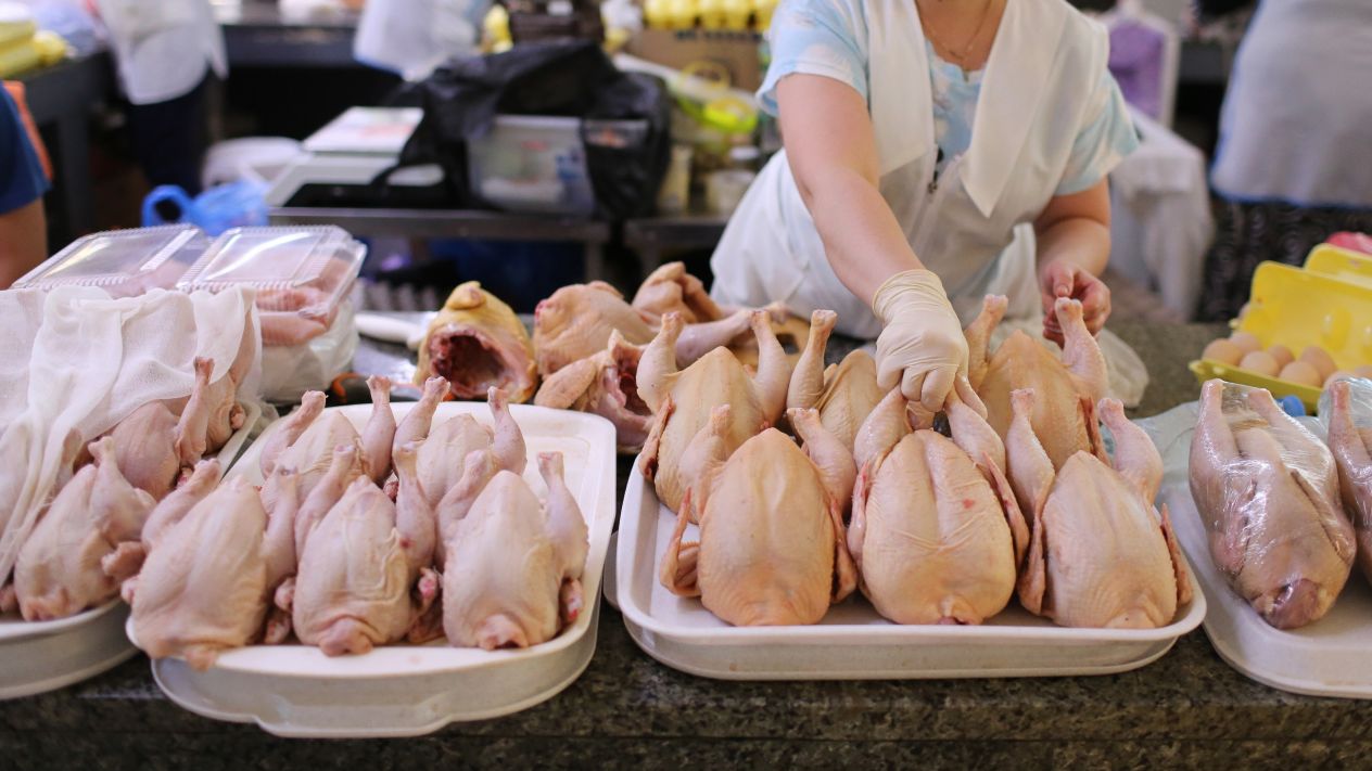 Importación de pollo