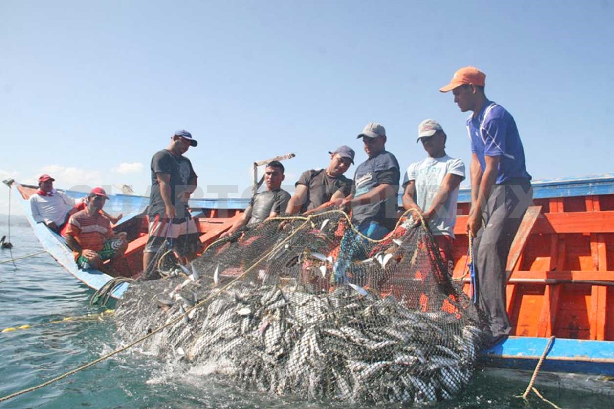 Pesca creció 14% y sector agrario se expandió casi 1% en setiembre de 2019