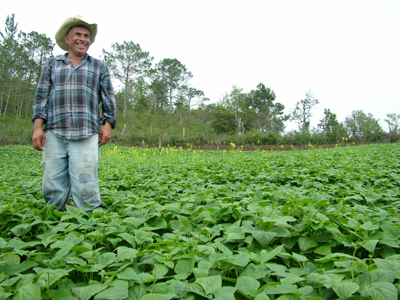 Con miras a T-MEC, EU prepara misión comercial agrícola a México