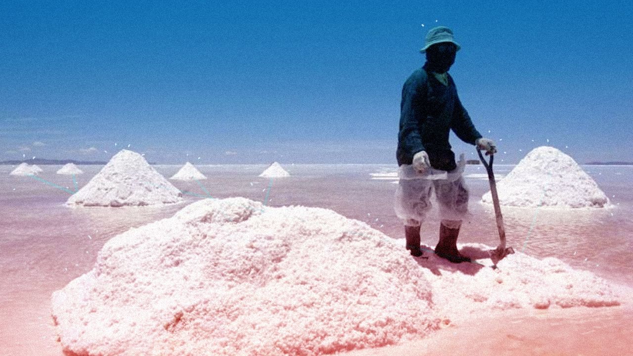 12 compañías extranjeras van por litio mexicano