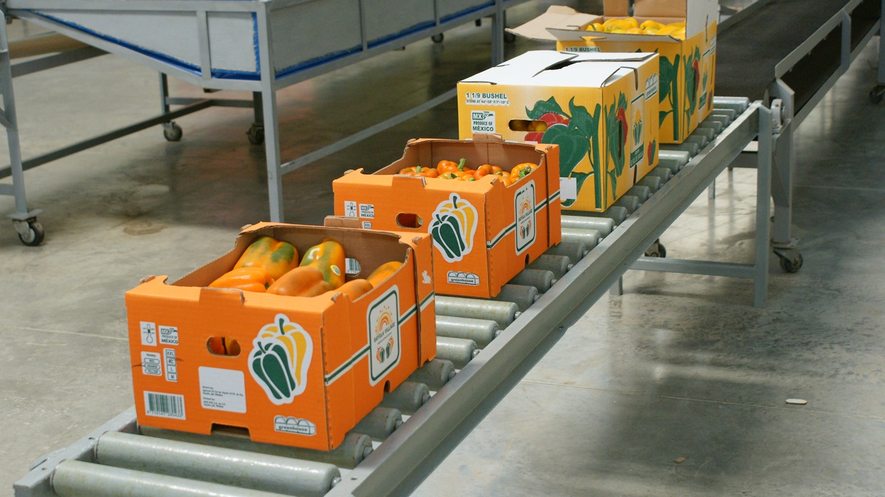 Avanzan México y Países Bajos cooperación tecnológica en agrologística, agricultura circular y comercio agroalimentario