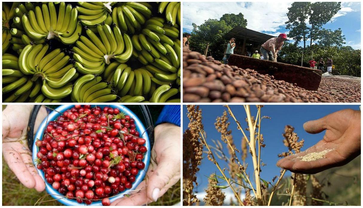 El T-MEC permite bloquear exportaciones de productos