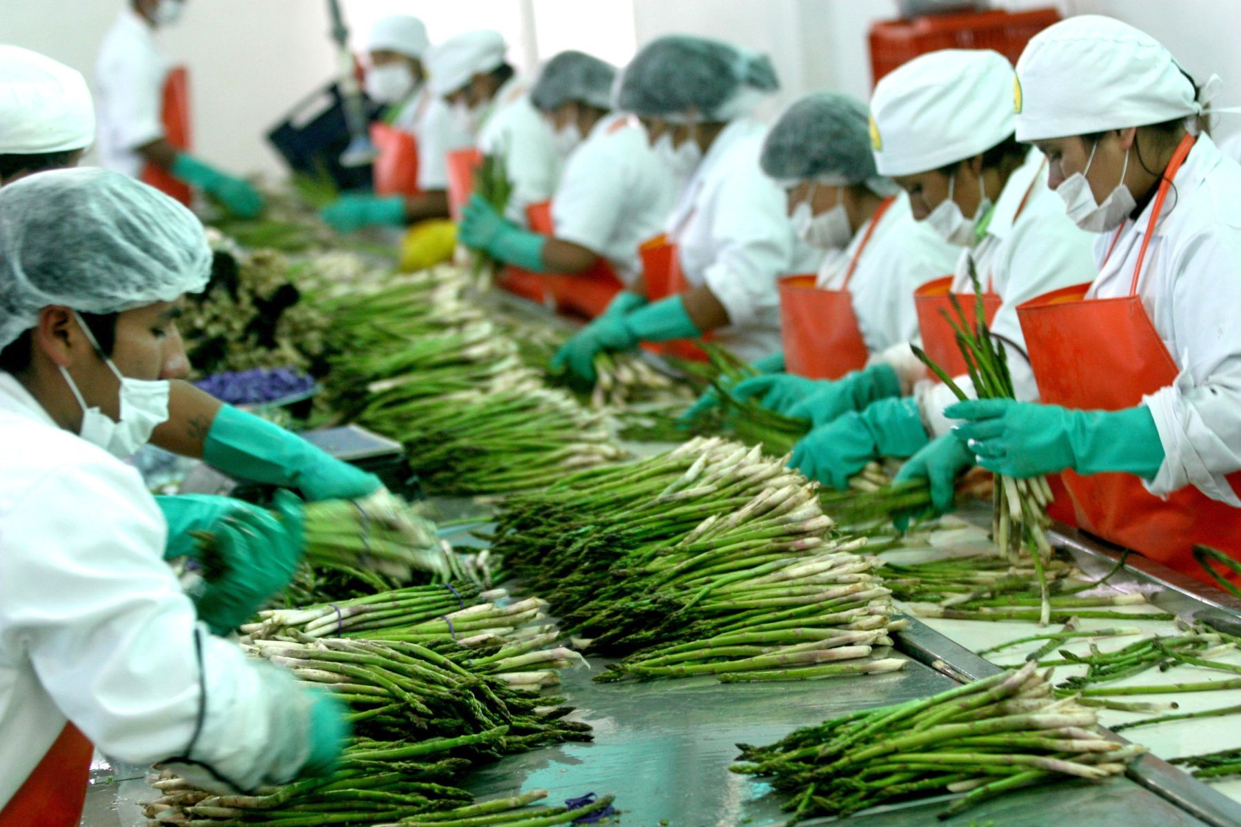 Bloquean días de asueto exportaciones agrícolas