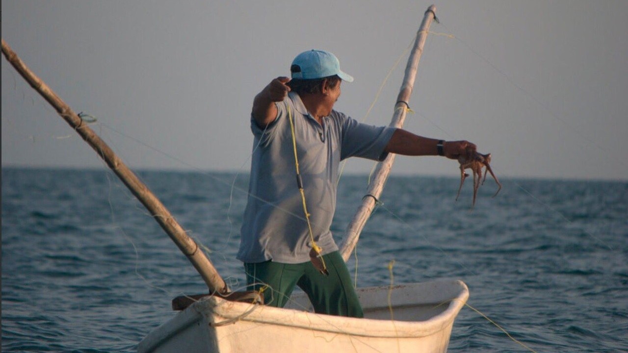 Pescadores porteños lanzan llamada de auxilio a las autoridades portuarias
