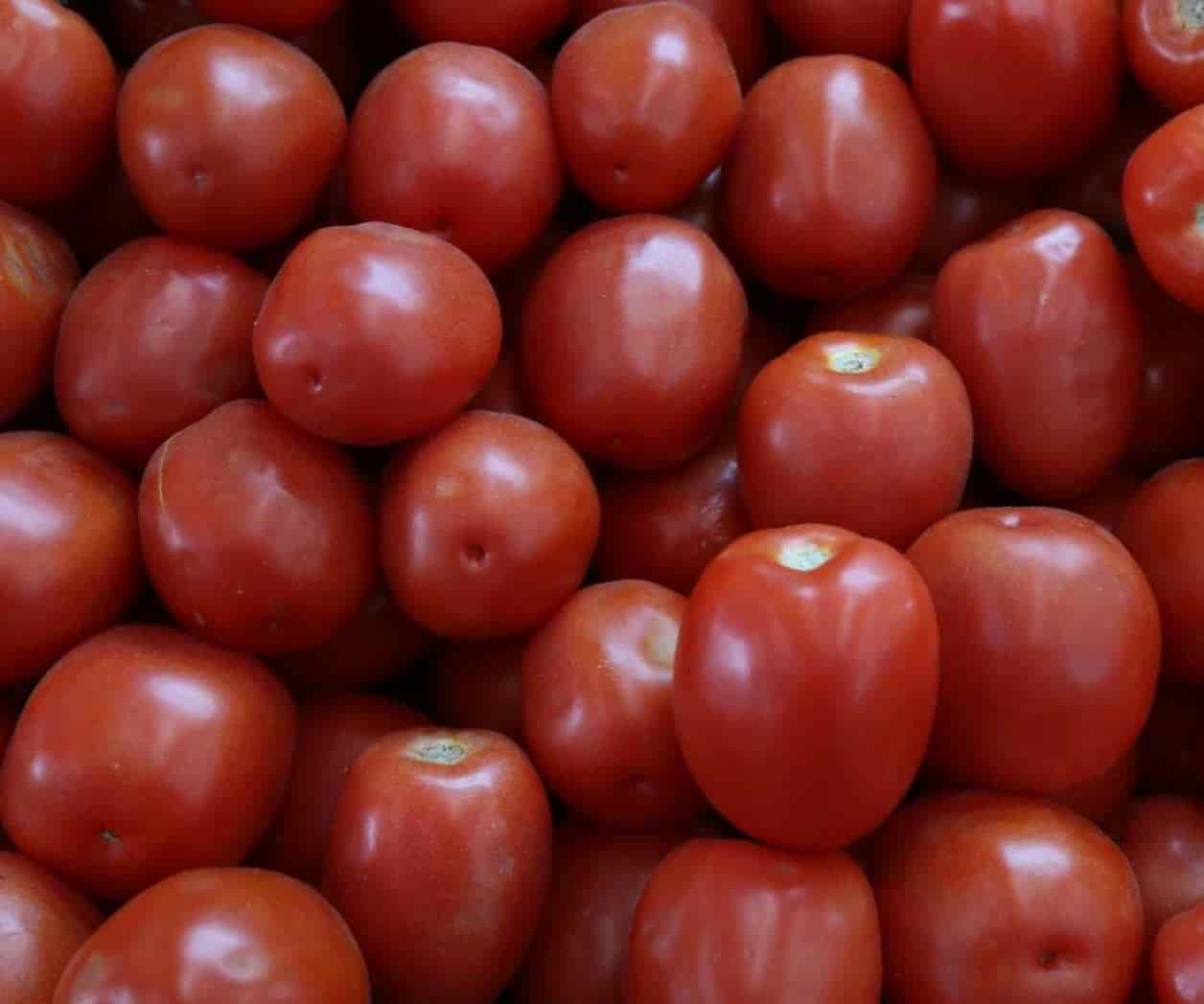 Temen arancel de 21% a tomate