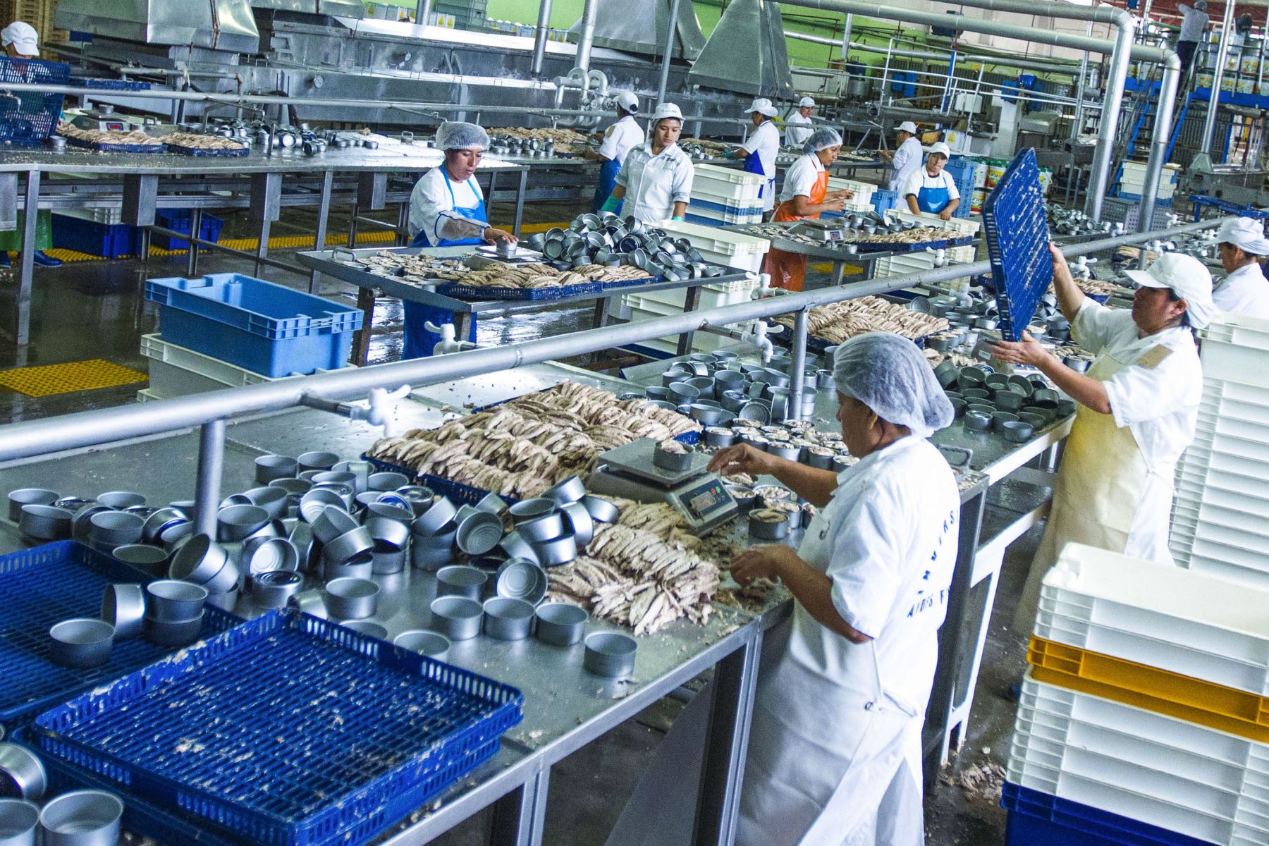 Ven crecimiento de un 10% en la industria manufacturera y maquiladora