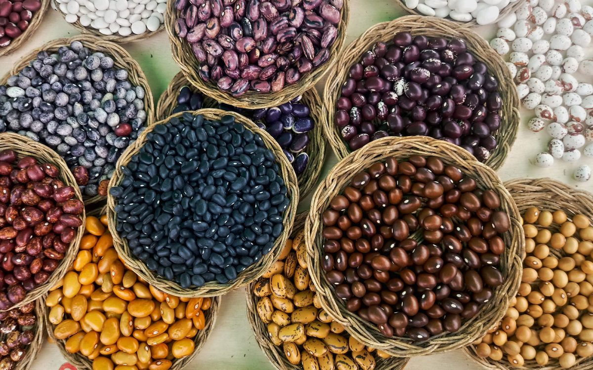 Busca Consejo Mexicano del Frijol abatir déficit de frijoles negros y pintos en México