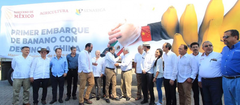 Gobierno Federal y de Colima dieron banderazo a primer embarque de banano a China