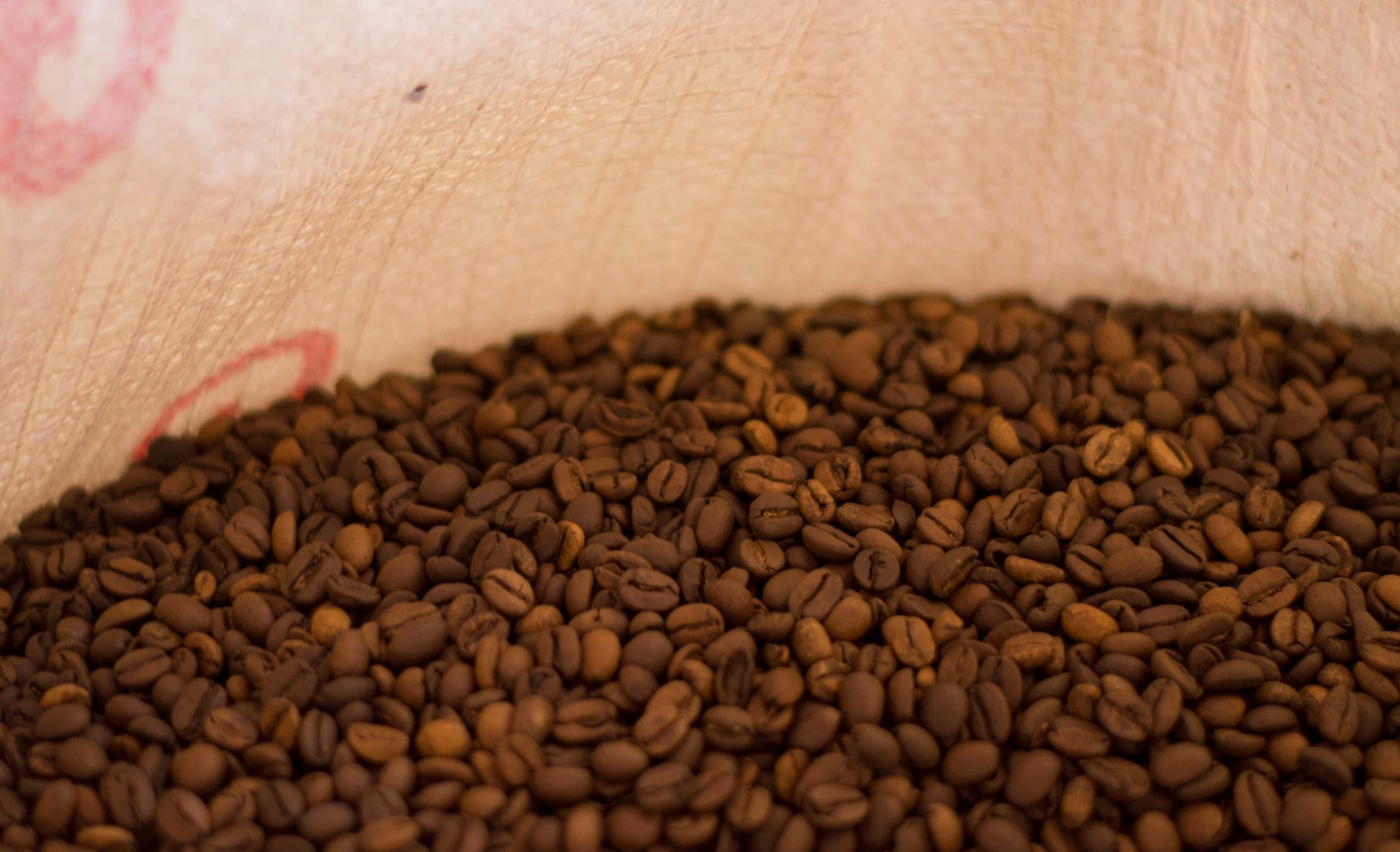 Sector café busca conquistar mercado surcoreano con TLC