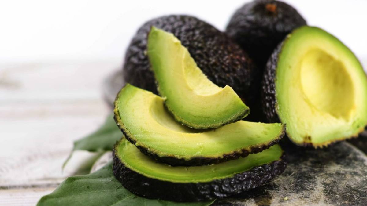 Exportaciones de aguacate jalisciense, a doble dígito