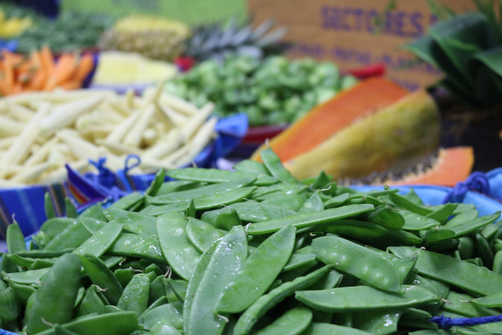 Aumentará exportación agrícola