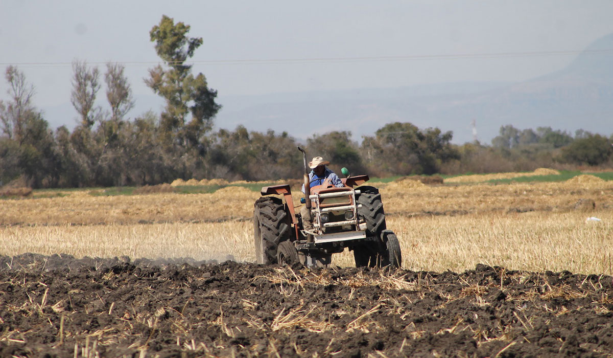 Incremento en importaciones de granos es un efecto de la falta de apoyos al campo : Bosco de la Vega