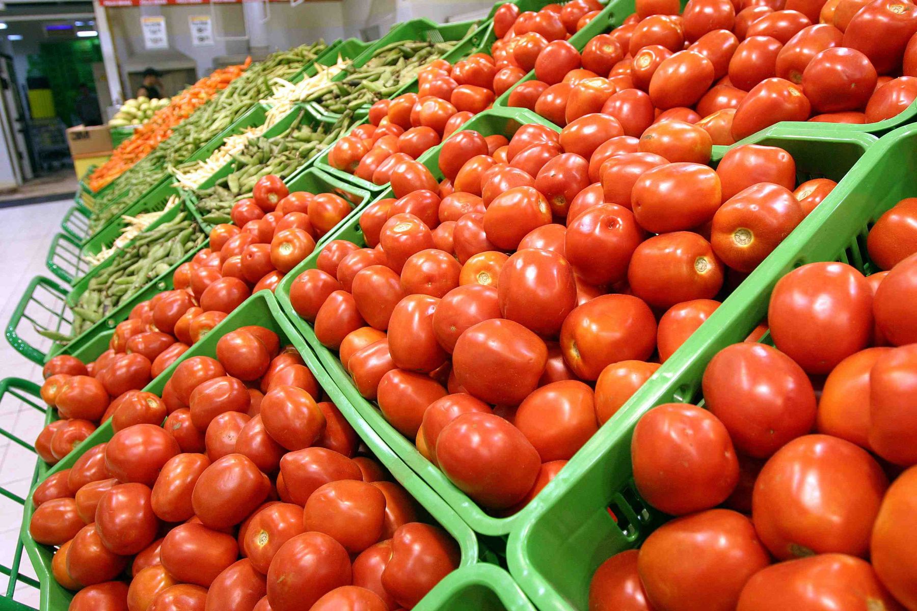 Productores de tomate piden protección del sector ante las importaciones