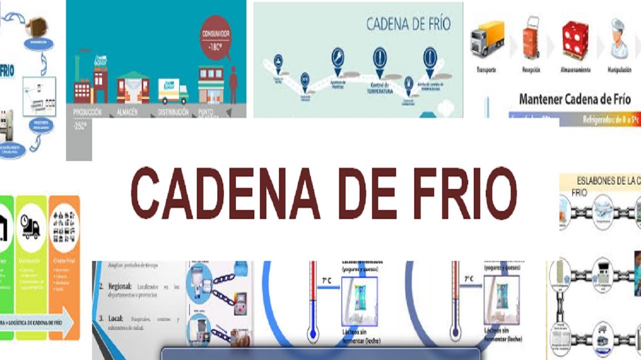 Soluciones sustentables para la cadena de frío Méxicoxport