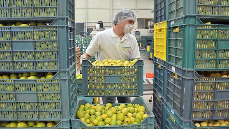 Temen que Estados Unidos impida entrada de productos mexicanos