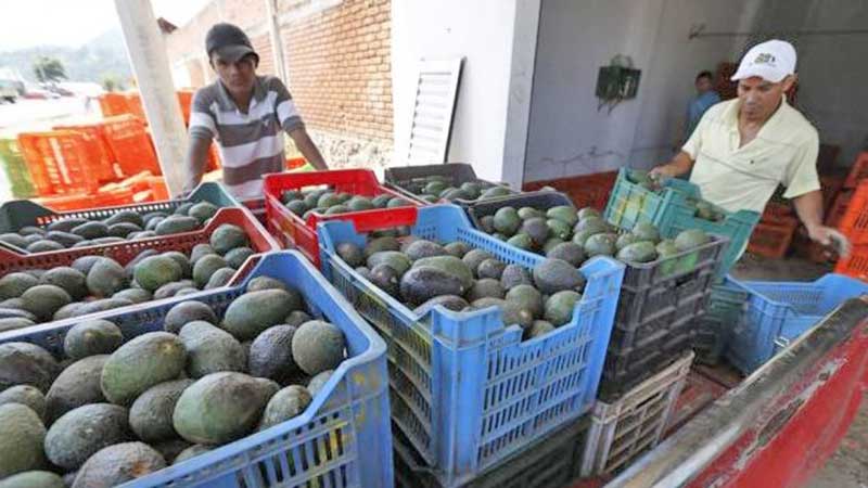 De momento, no existen restricciones sobre exportaciones de alimentos