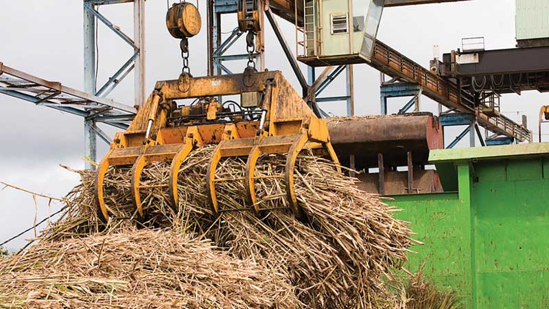El campo mexicano, solo ante el peligro del COVID-19