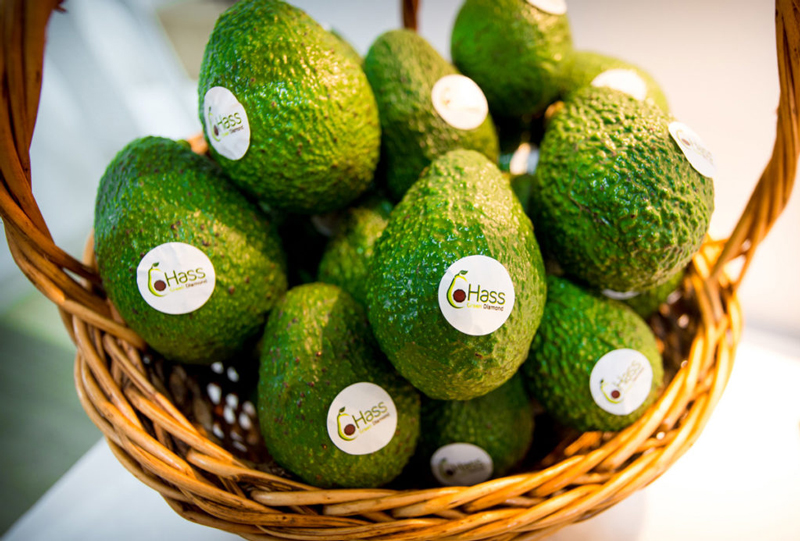 Esta empresa mexicana exporta aguacate… desde Colombia