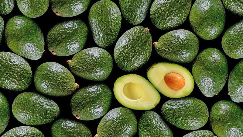 Aguacate mexicano sigue deleitando el paladar de EU pese al coronavirus