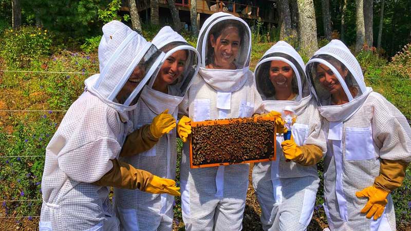 Apicultores tamaulipecos esperan incremento en el costo de la miel