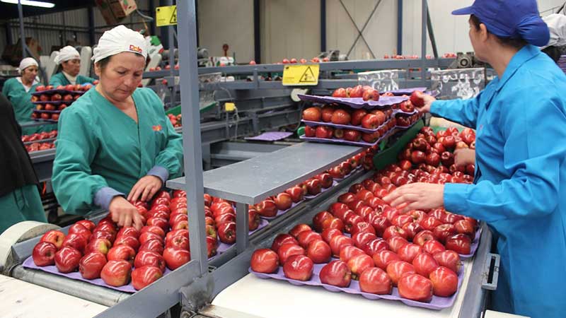 Sader agiliza despacho de cargamentos de alimentos importados