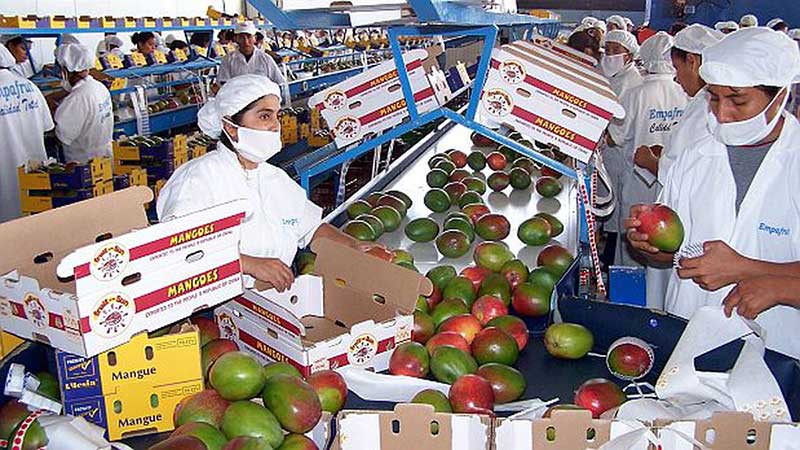 Crecen 7.87% las exportaciones agroalimentarias de México: Sader