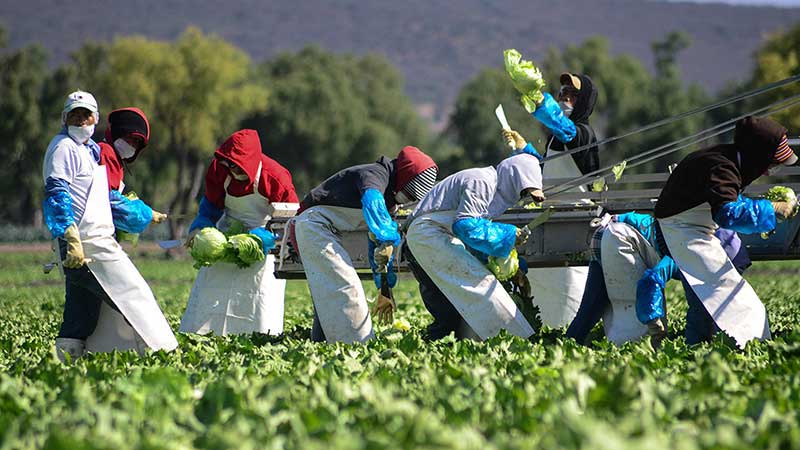 Covid-19 afectará exportación Jalisciense de alimentos