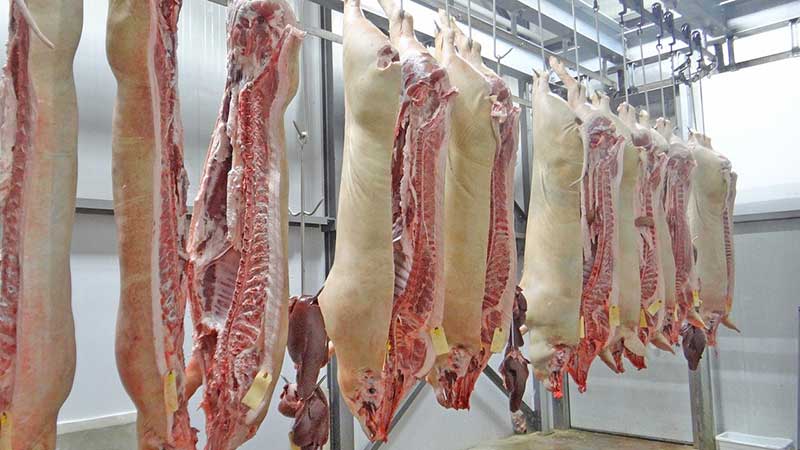 Producción de carne de porcino crecerá 20.5% en 2020