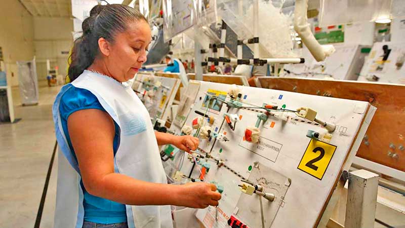 Gobierno de Sinaloa fortalece sectores primarios