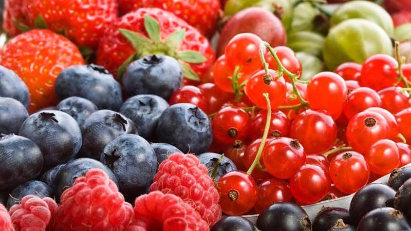 Debido a desafíos en EE.UU. la industria de las berries de México busca diversificarse