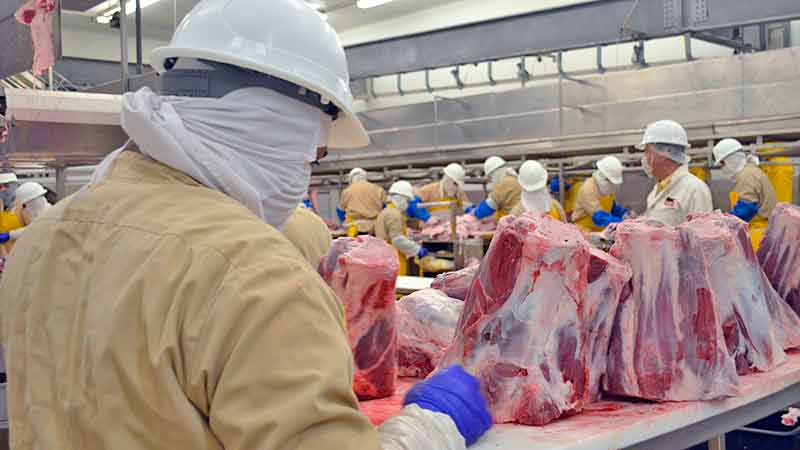 Sube exportación de carne a EUA 