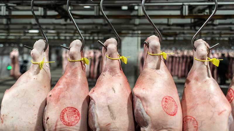 20% de las compras de cerdo en China provienen de Estados Unidos; México gana terreno