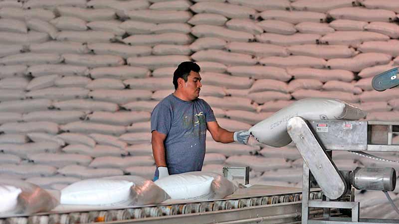Azucareros mexicanos prevén un año complicado por menores exportaciones a EU y aumento de impuestos