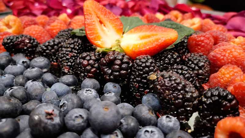 Se posiciona Guanajuato como exportador de Berries para el mundo