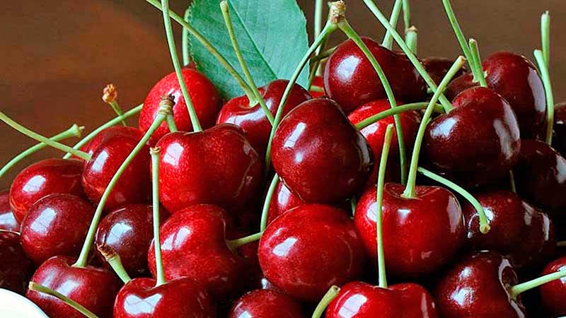China Is The Largest Overseas Market For Chilean Cherries : Exports Expected To Hit Record High