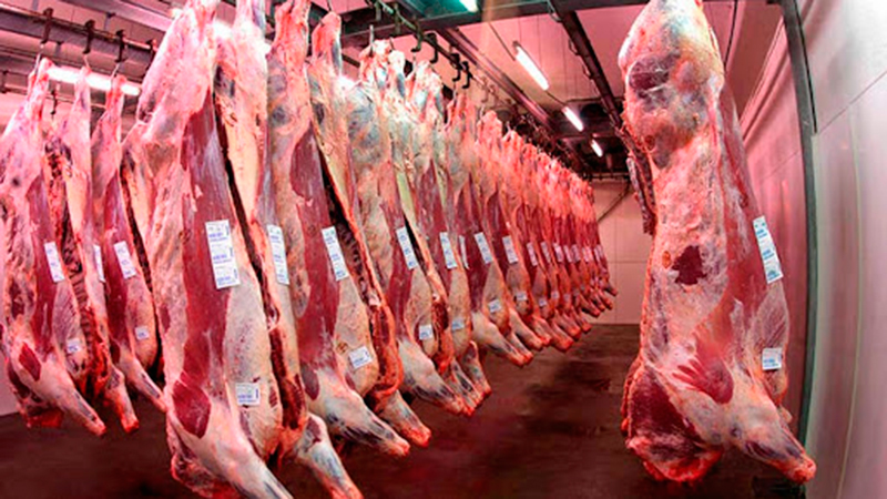 México incrementó sus exportaciones de carne de res a EE. UU. y se posicionó como su tercer principal proveedor