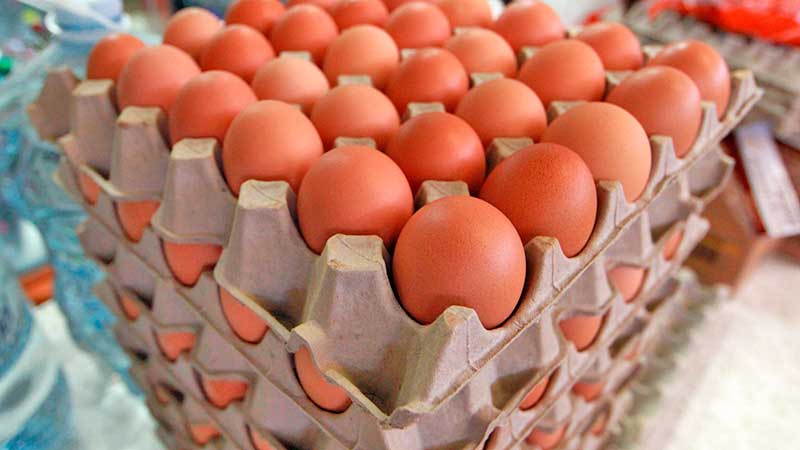 México abre el mercado para importaciones de huevos de Brasil