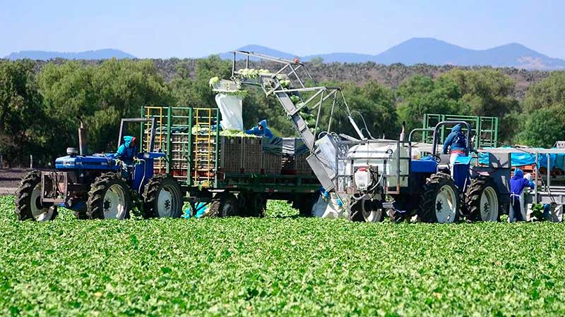 Sector agroalimentario registra superávit de 9,700 millones de dólares en 3T